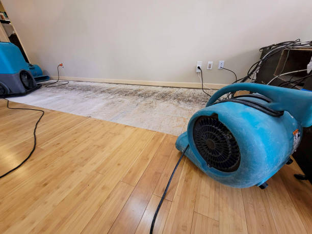 Professional Basement Flood Cleanup technician working in Leesburg, OH